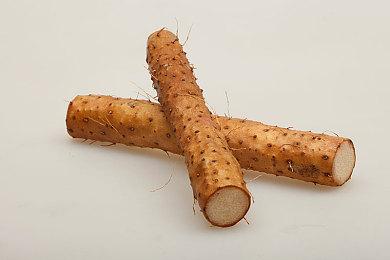 《海盗共和国》Steam页面上线 明年正式发售